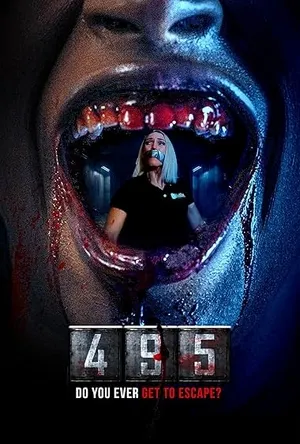 495 (2025) Hindi (MULTI AUDIO) – – HD Poster Download - filmyfly