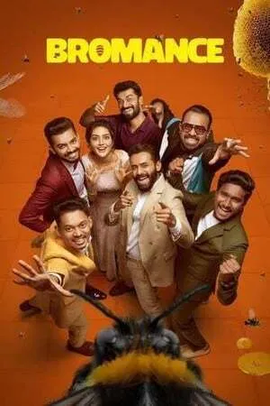 Bromance 2025 Hindi Dual Audio HD Poster Download - filmyfly