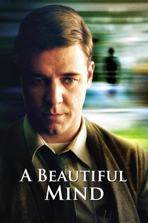 A Beautiful Mind 2001 Hindi Dual Audio [1.2GB] HD Poster Download - filmyfly