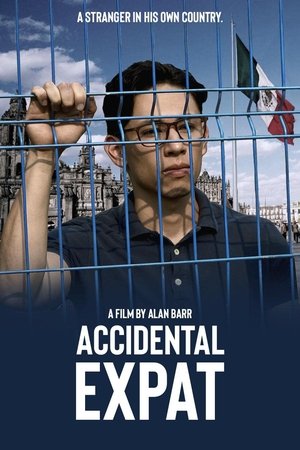 Accidental Expat (2025) Hindi (MULTI AUDIO) – – HD Poster Download - filmyfly