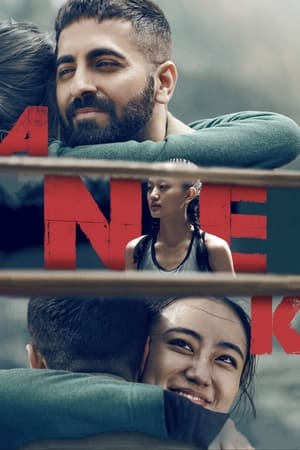 Anek 2022 Hindi Movie – HD Poster Download - filmyfly