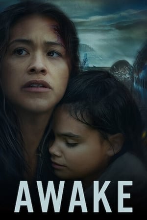 Awake (2021) Hindi Dual Audio [880MB] HD Poster Download - filmyfly