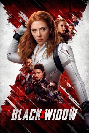 Black Widow (2021) Hindi Dual Audio 450MB HD Poster Download - filmyfly