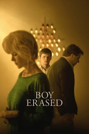 Boy Erased (2018) Hindi Dual Audio [900MB] HD Poster Download - filmyfly