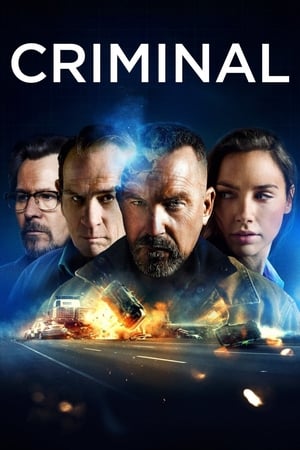Criminal (2016) Hindi Dual Audio 340MB HD Poster Download - filmyfly