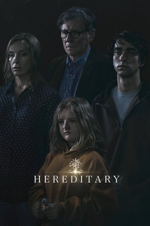 Hereditary 2018 Hindi Dual Audio – HD Poster Download - filmyfly