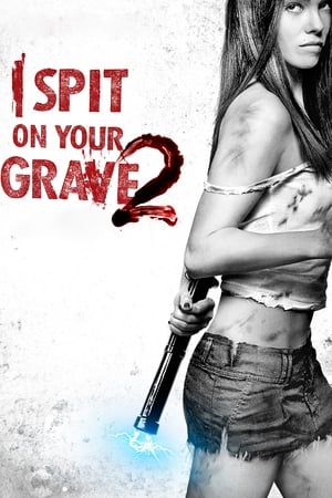 I Spit on Your Grave 2 (2013) Hindi Dual Audio – HD Poster Download - filmyfly