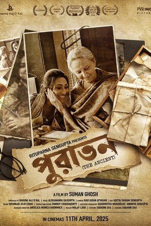 Puratawn (2025) Hindi (MULTI AUDIO) – –