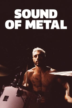 Sound of Metal (2019) Hindi Dual Audio – HD Poster Download - filmyfly