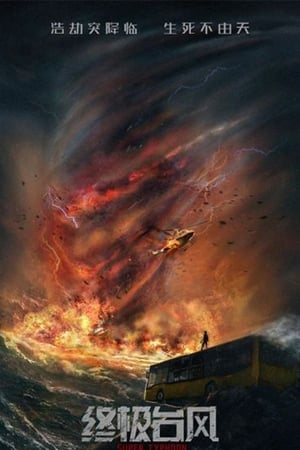 Super Typhoon 2020 Hindi Dual Audio – HD Poster Download - filmyfly