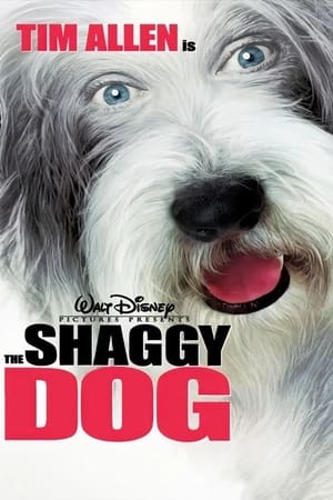 The Shaggy Dog (2006) Hindi Dual Audio 300MB HD Poster Download - filmyfly