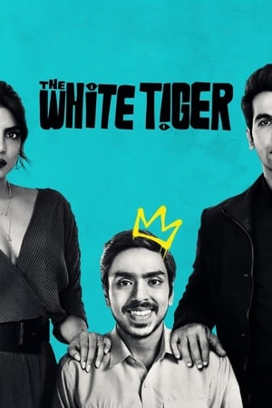 The White Tiger (2021) Hindi Movie [990MB] HD Poster Download - filmyfly
