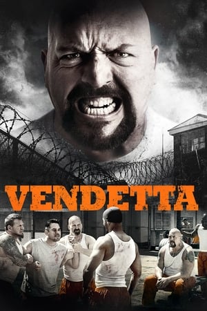 Vendetta 2015 Hindi Dual Audio 300MB HD Poster Download - filmyfly